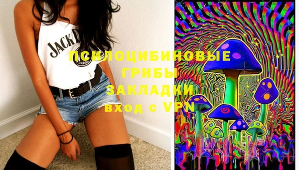 стаф Заполярный