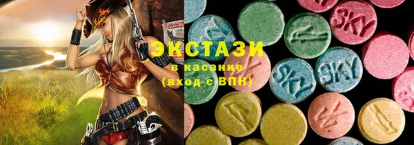 ECSTASY Елизово