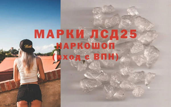 сатива Калининец