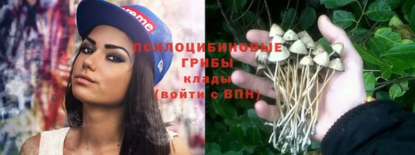 а пвп мука Ростов