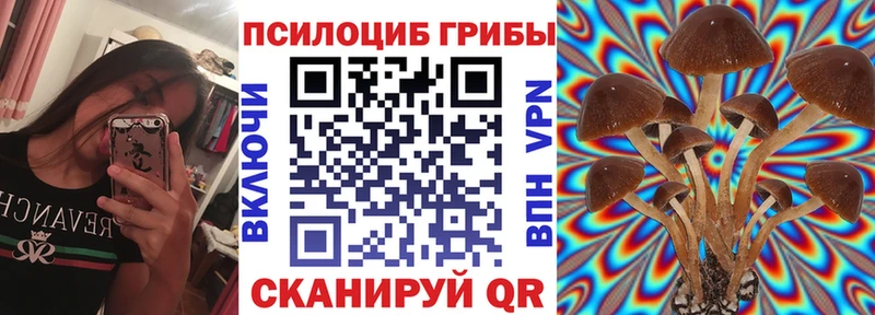 Галлюциногенные грибы мухоморы  blacksprut сайт  Алапаевск 