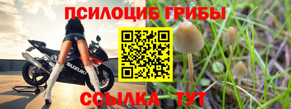 Псилоцибиновые грибы Magic Shrooms Алапаевск