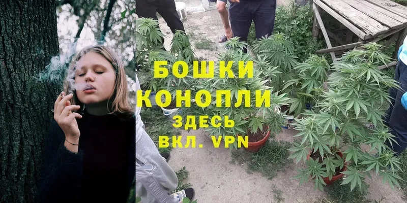 мега маркетплейс  Алапаевск  площадка формула  Каннабис OG Kush 